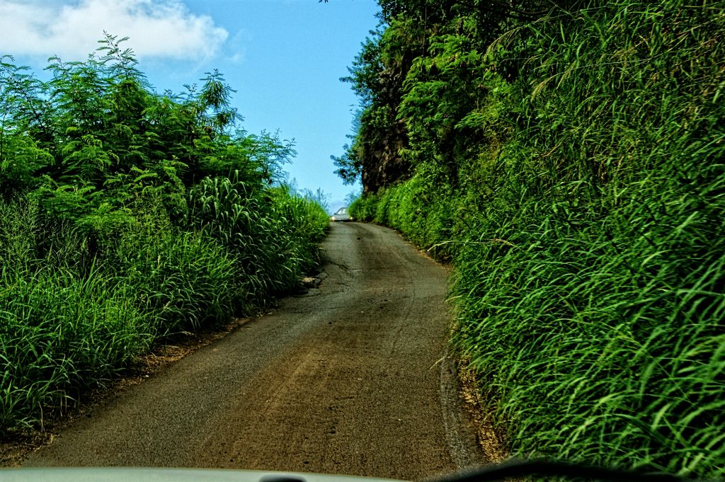 One lane road through mountains