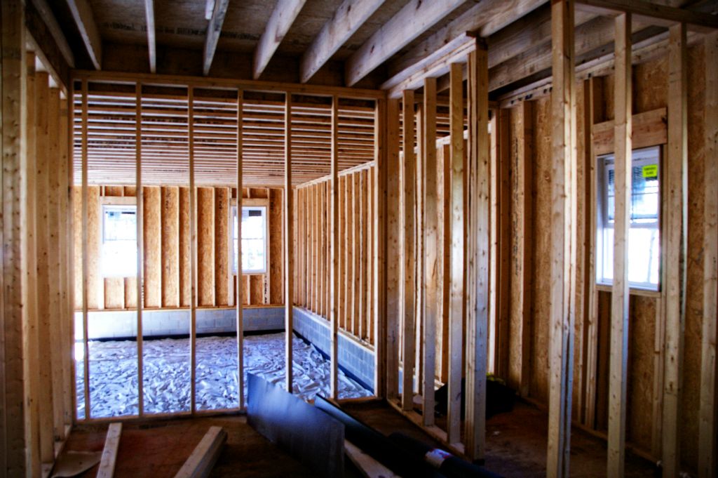 Master Bath / Shower (garage in background)