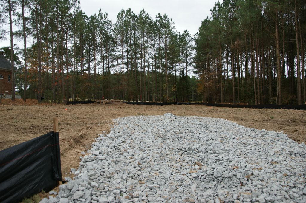 Looking from road up the driveway